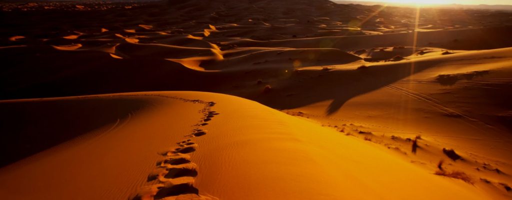 mccc-desert